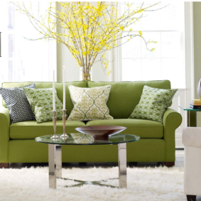 σαλόνι σε πράσινες ιδέες