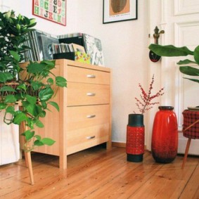 апартамент от фън шуй фото декор