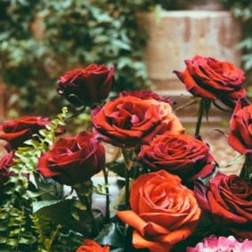 roses for landscaping review ideas