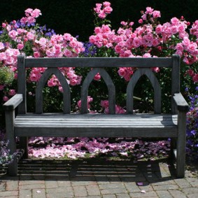 roses in landscape design photo decoration