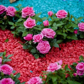roses in landscape design