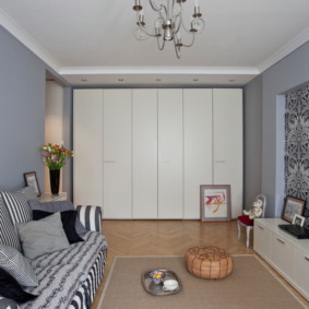 wardrobe in the living room interior