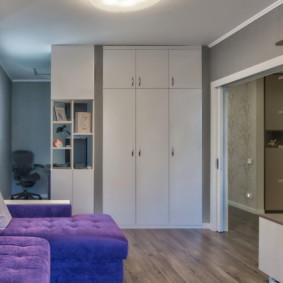 wardrobe in the living room photo options