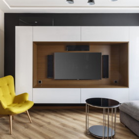 wardrobe in the living room photo options