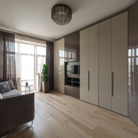 wardrobe in the living room photo options