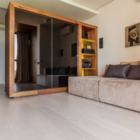 wardrobe in the living room types of design