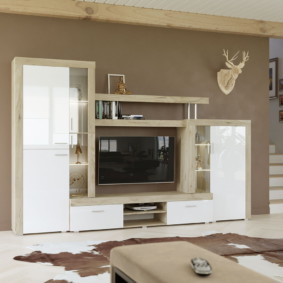 wardrobe in the living room design