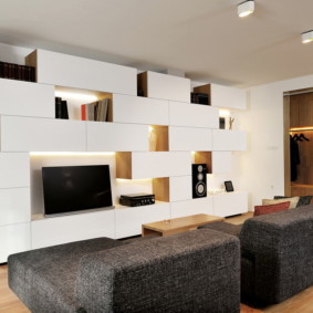 wardrobe in the living room decor photo