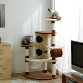 carrinho de gato no canto da sala de estar