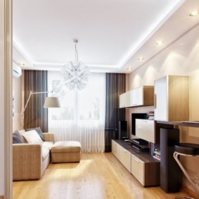 salon étroit dans l'appartement photo options