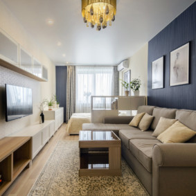 salon étroit dans des idées d'idées d'appartement