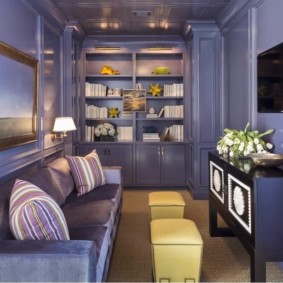 salon étroit dans l'appartement types de photos