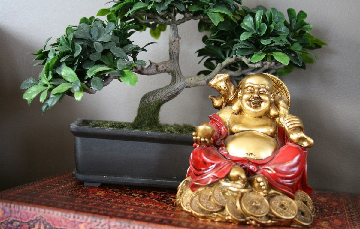 декор на богатството зона