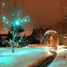 Guirlande LED sur un arbre sans feuilles