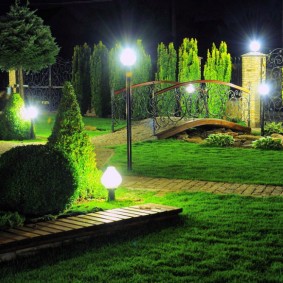 Pont de jardin avec cyprès et thuya