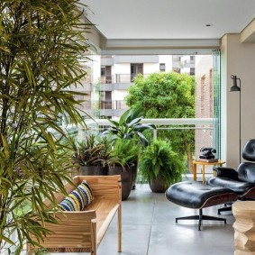Chaise confortable sur la loggia avec des plantes