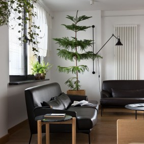 Canapé noir avec revêtement en cuir