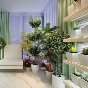 Palmiers et autres arbres à l'intérieur de l'appartement