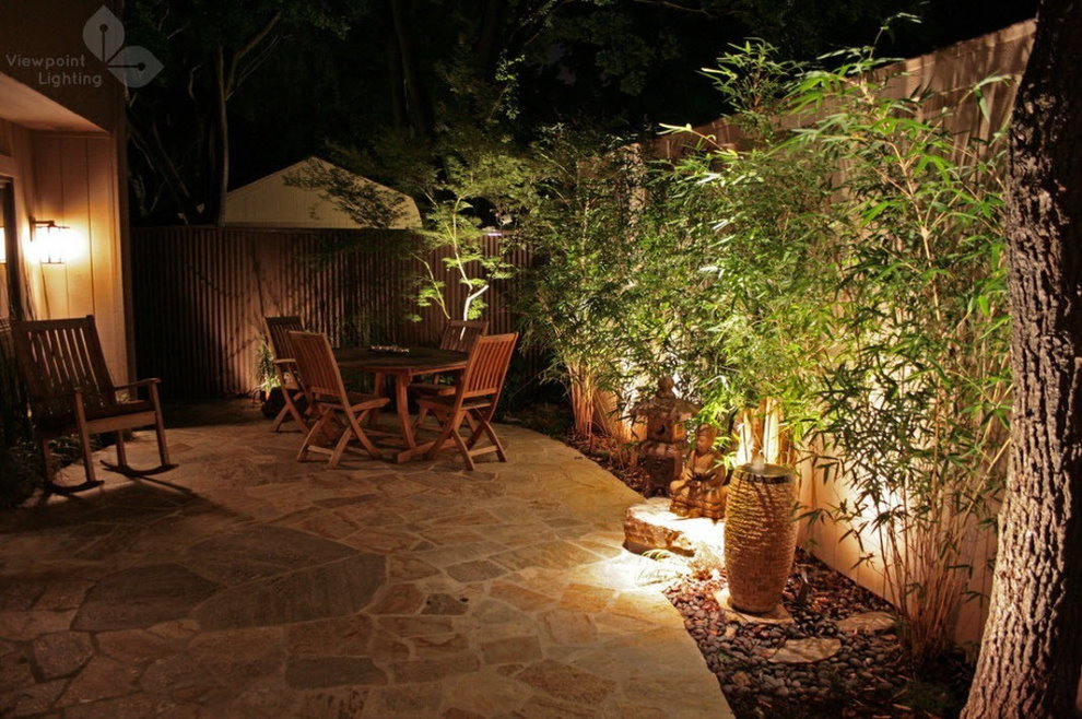 Éclairage décoratif des buissons la nuit