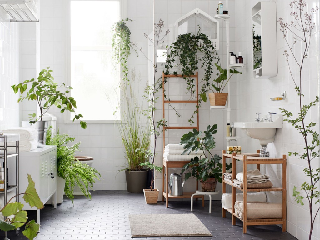 Plantes vertes dans une salle blanche