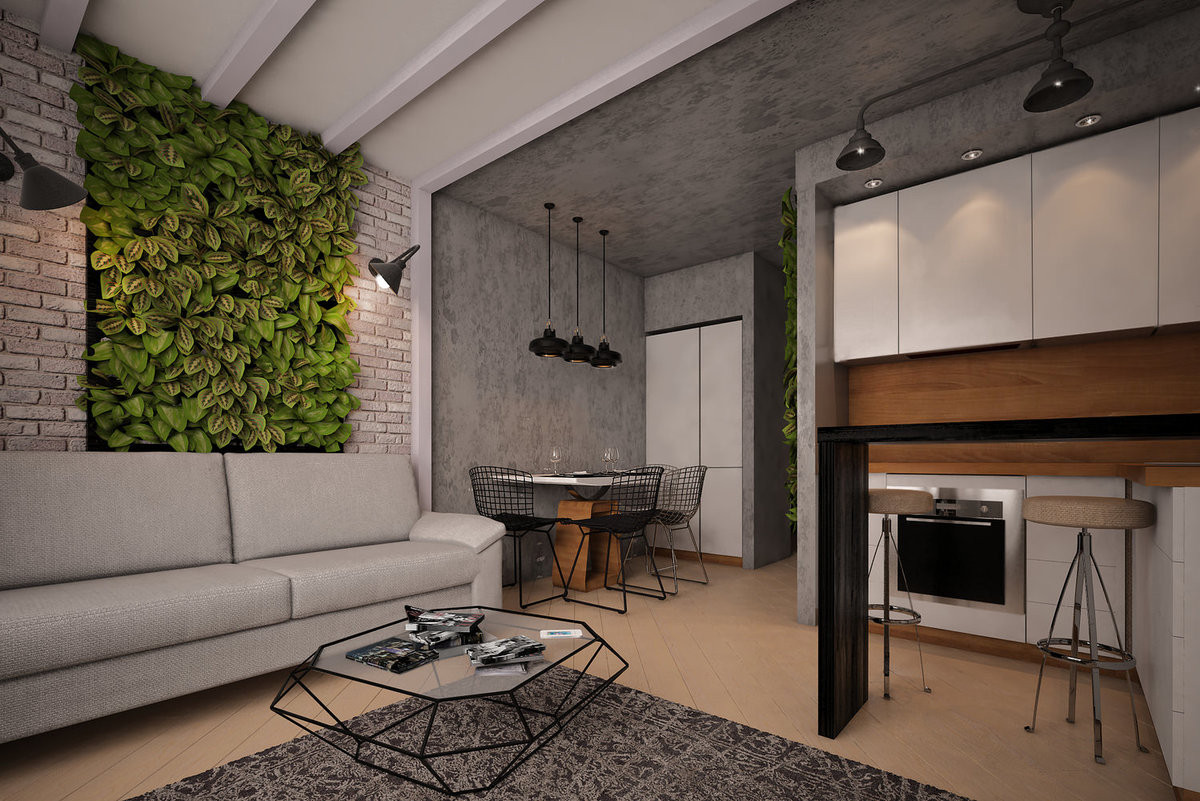 Eco studio apartment