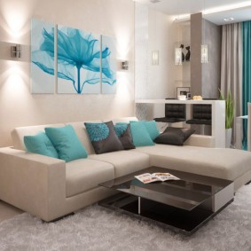 options d'idées d'un appartement d'une chambre