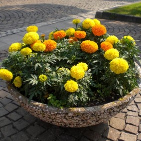 Pot de fleurs rond