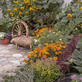 Coin jardin champêtre