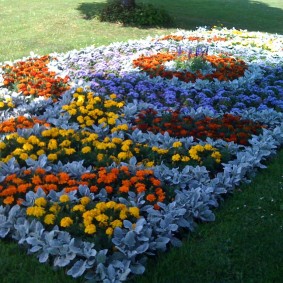 Beau jardin fleuri de plantes annuelles