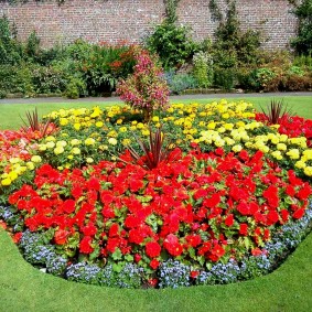 Fleurs rouges sur un parterre de jardin