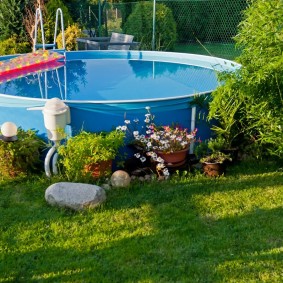 Fleurs en pot près de la piscine à ossature