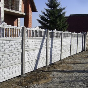 Épinette verte derrière la clôture de la campagne