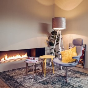 المدمج في biofireplace في قاعة الشقة