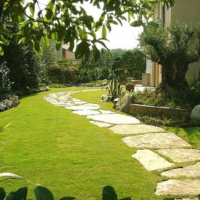 Chemin de jardin plat en pierre