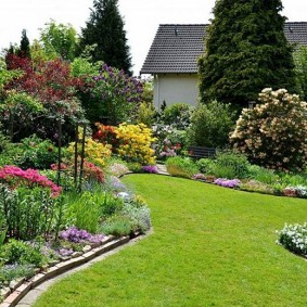 Mixborder dans le paysage du jardin
