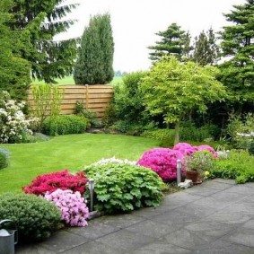 Belle pelouse avec de l'herbe verte