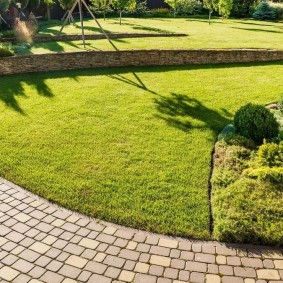 Chemin du parc de tuiles de clinker