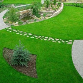 Arbre de Noël bleu au milieu de l'herbe