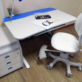 เก้าอี้กระดูกคู่หลัง