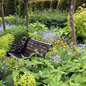 Banc en bois dans le jardin envahi