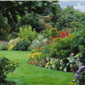 Pelouse verte parmi les arbustes et les arbres