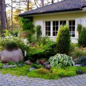 Parterre de jardin avec conifères