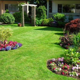 Pelouse à l'anglaise