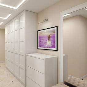 Mobili del gabinetto all'interno del corridoio