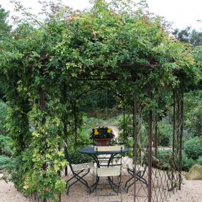 Pergola d'escalade