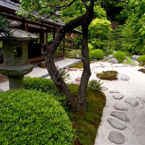 Troncs nus d'un vieil arbre