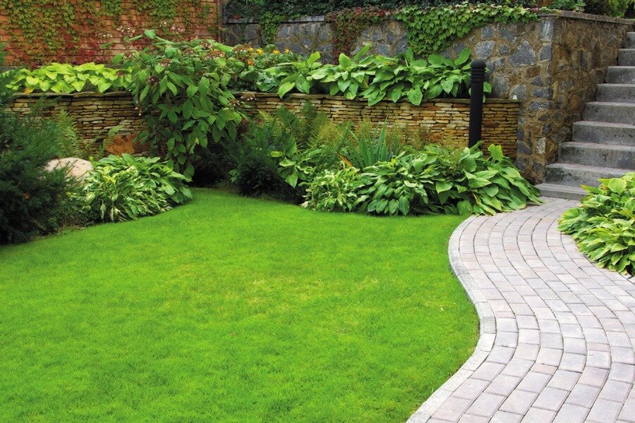 Petite pelouse sur un terrain de 6 acres