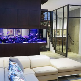 Pemisahan hitam dengan akuarium gaya Belanda