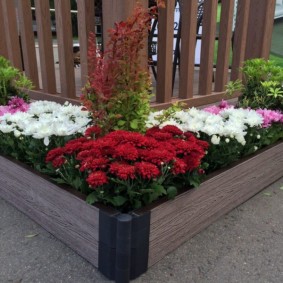 clôture décorative pour le jardin sortes d'idées