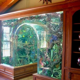 Akuarium kaca bukan dinding dalaman